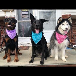 Meet your Posher, Candice